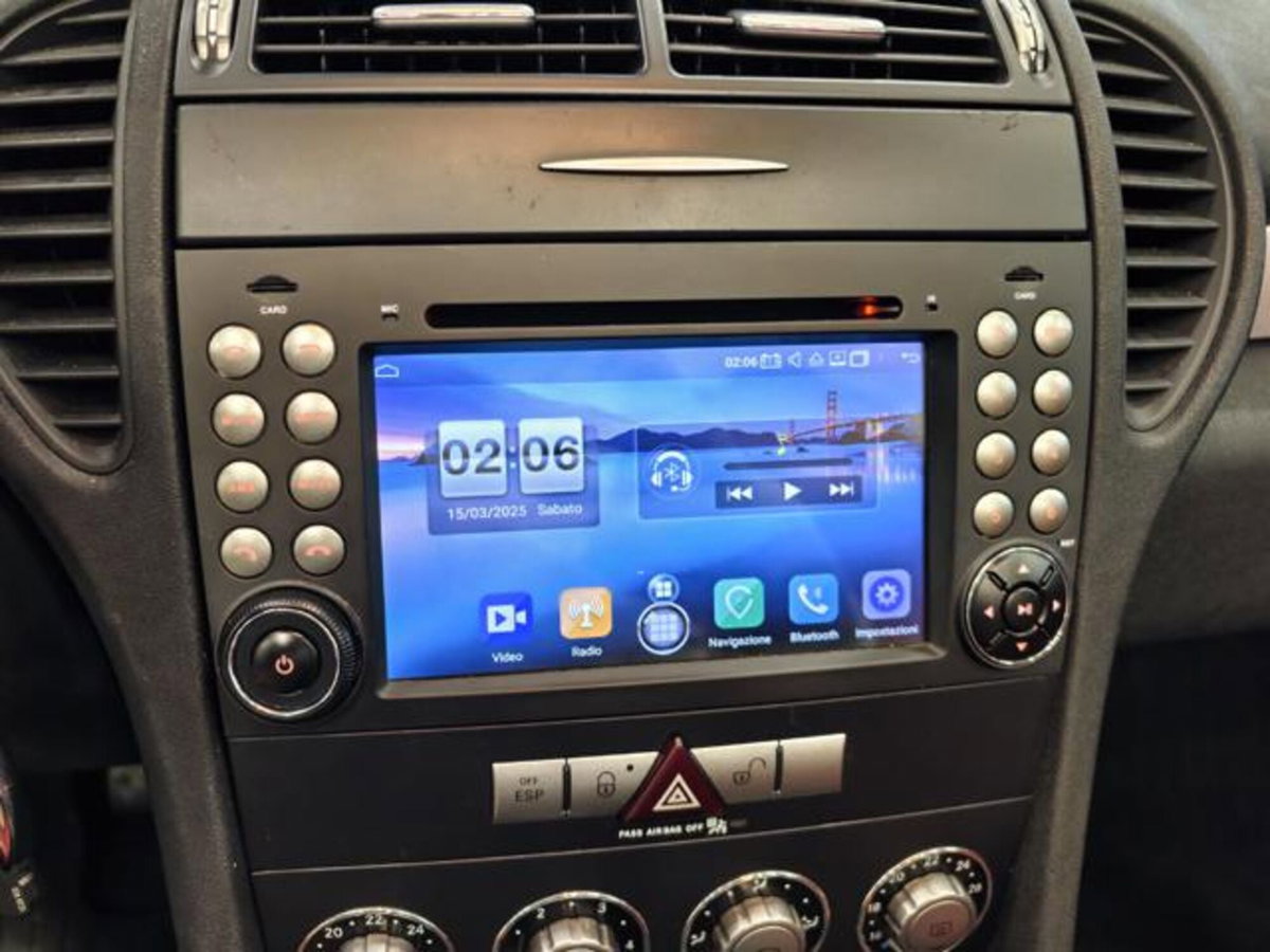 Mercedes-Benz SLK 200 Kompressor cat (12)