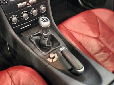 Mercedes-Benz SLK 200 Kompressor cat (14)
