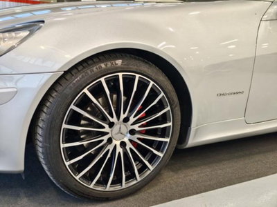 Mercedes-Benz SLK 200 Kompressor cat (8)