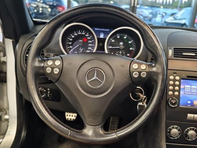 Mercedes-Benz SLK 200 Kompressor cat (9)