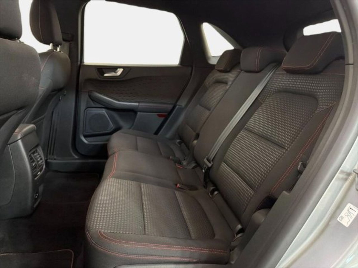 Ford Kuga 2.0 EcoBlue Hybrid 150 CV 2WD Vignale (13)