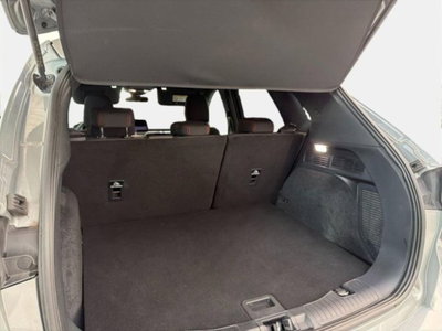 Ford Kuga 2.0 EcoBlue Hybrid 150 CV 2WD Vignale (14)