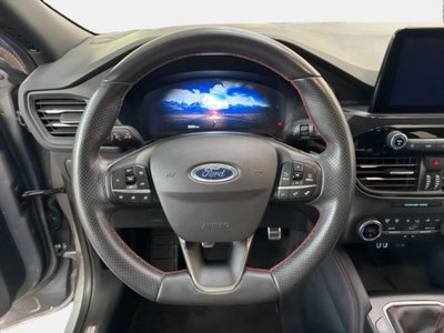 Ford Kuga 2.0 EcoBlue Hybrid 150 CV 2WD Vignale (8)