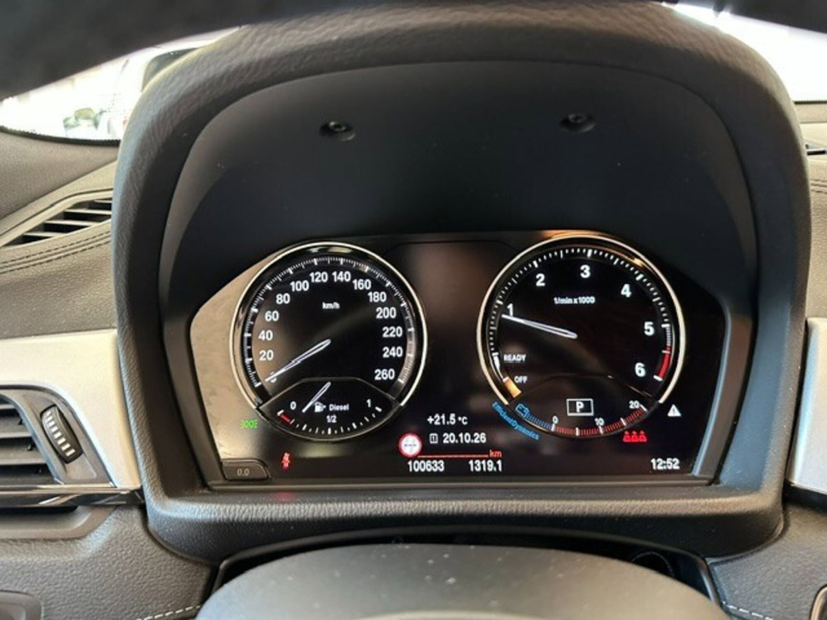BMW X2 xDrive20d Advantage (13)