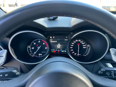 Alfa Romeo Stelvio Stelvio 2.2 Turbodiesel 210 CV AT8 Q4 Ti (19)