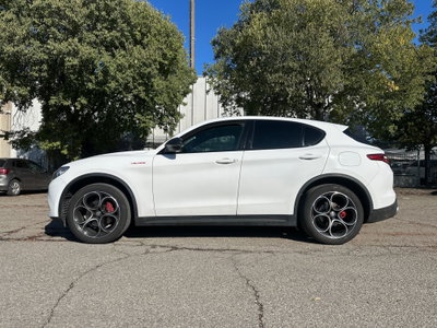 Alfa Romeo Stelvio Stelvio 2.2 Turbodiesel 210 CV AT8 Q4 Ti (8)