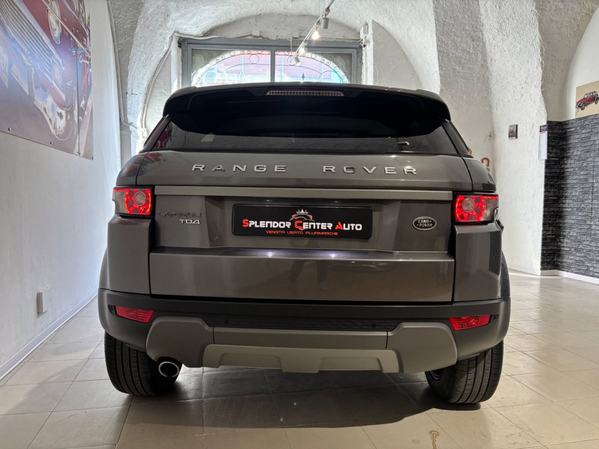 Land Rover Range Rover Evoque 2.2 TD4 5p. Loire Edition Pure (11)