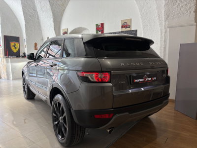 Land Rover Range Rover Evoque 2.2 TD4 5p. Loire Edition Pure (5)