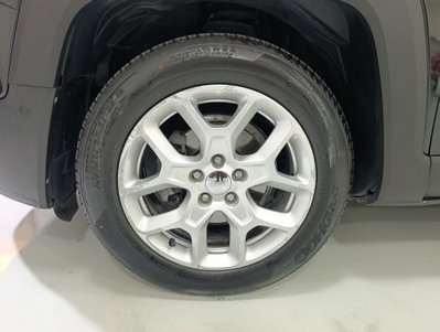 Jeep Renegade 1.6 Mjt 120 CV Limited (10)