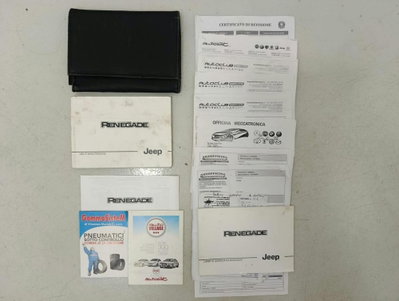 Jeep Renegade 1.6 Mjt 120 CV Limited (20)