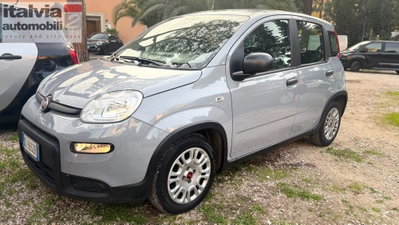 Fiat Panda Cross Cross 1.0 FireFly S&S Hybrid usata