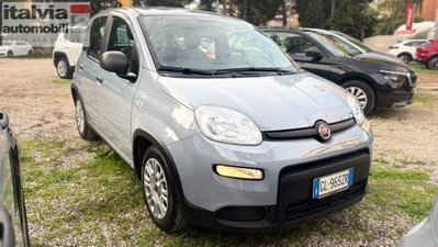 Fiat Panda Cross Cross 1.0 FireFly S&S Hybrid (2)