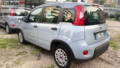 Fiat Panda Cross Cross 1.0 FireFly S&S Hybrid (5)