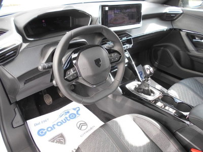 Peugeot 2008 PureTech 100 S&S Allure (4)