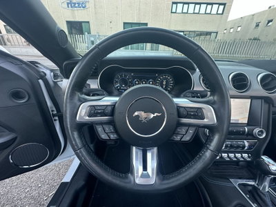 Ford Mustang Cabrio Convertible 5.0 V8 GT (17)