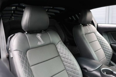 Ford Mustang Coupé Fastback 2.3 EcoBoost (11)