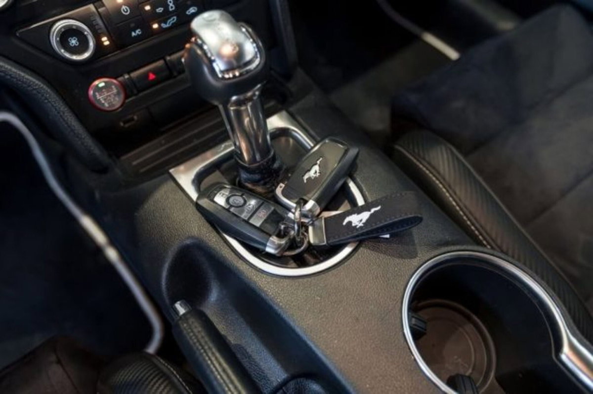 Ford Mustang Coupé Fastback 2.3 EcoBoost (14)
