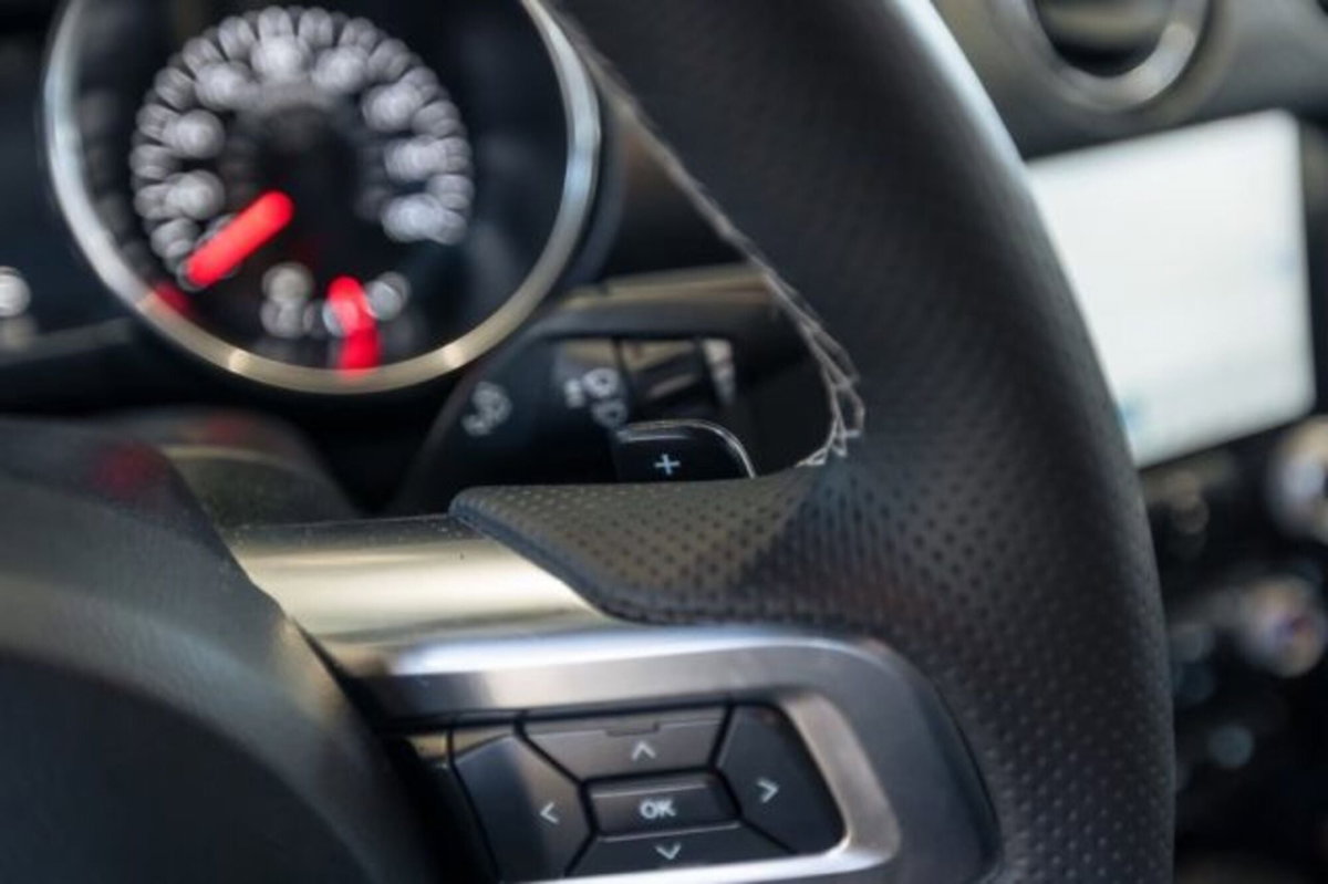 Ford Mustang Coupé Fastback 2.3 EcoBoost (19)