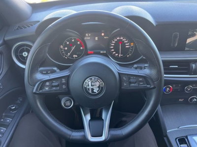 Alfa Romeo Stelvio Stelvio 2.2 Turbodiesel 210 CV AT8 Q4 Ti (15)