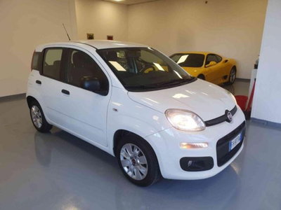 Fiat Panda 1.2 GPL Van Active 2 posti (2)