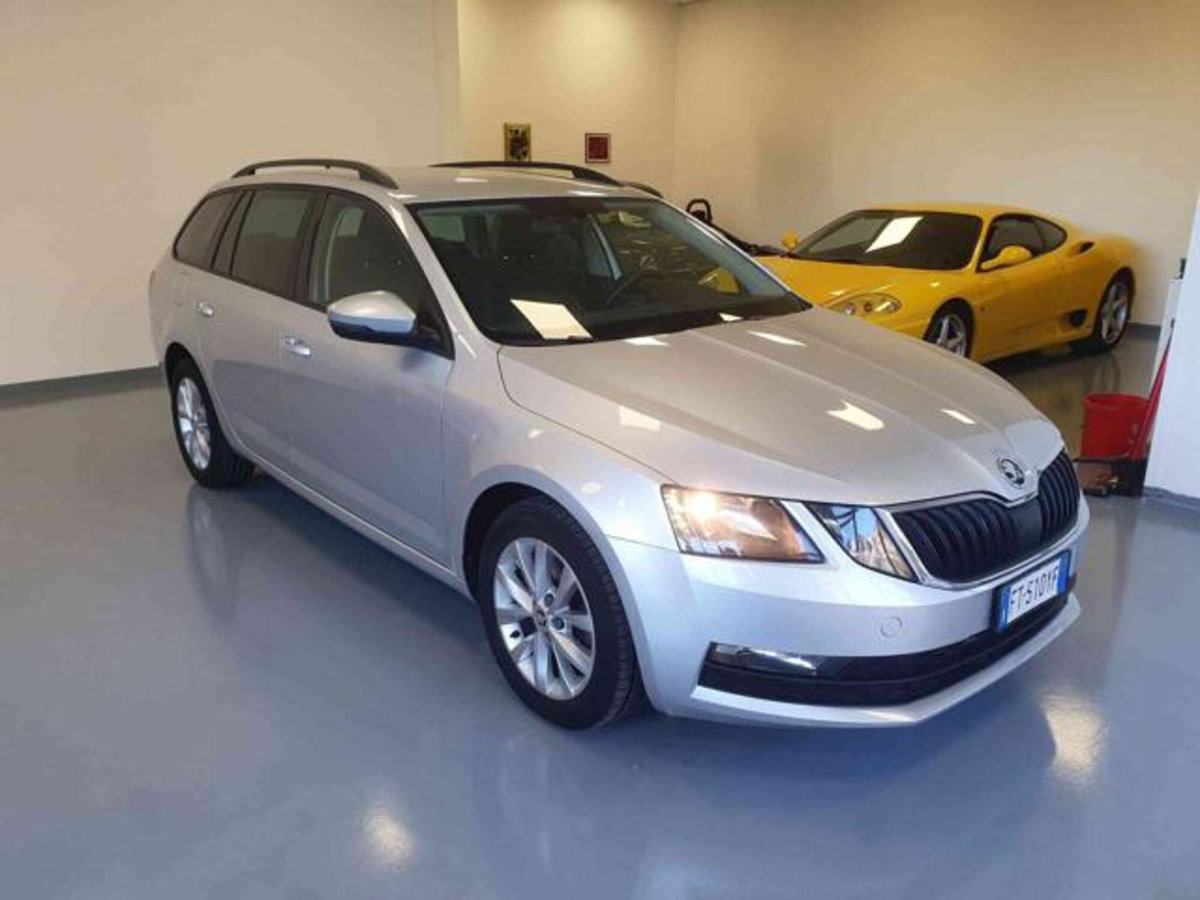 Skoda Octavia Station Wagon 1.6 TDI CR 115 CV Wagon Executive (2)