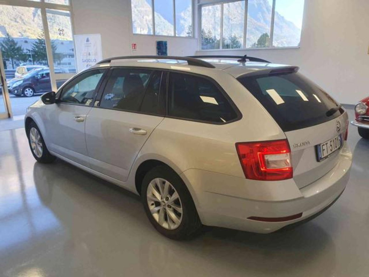 Skoda Octavia Station Wagon 1.6 TDI CR 115 CV Wagon Executive (4)