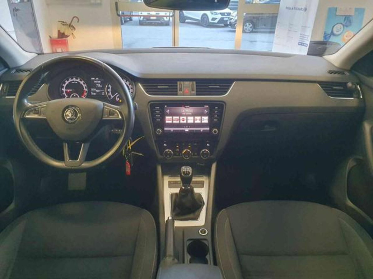 Skoda Octavia Station Wagon 1.6 TDI CR 115 CV Wagon Executive (7)