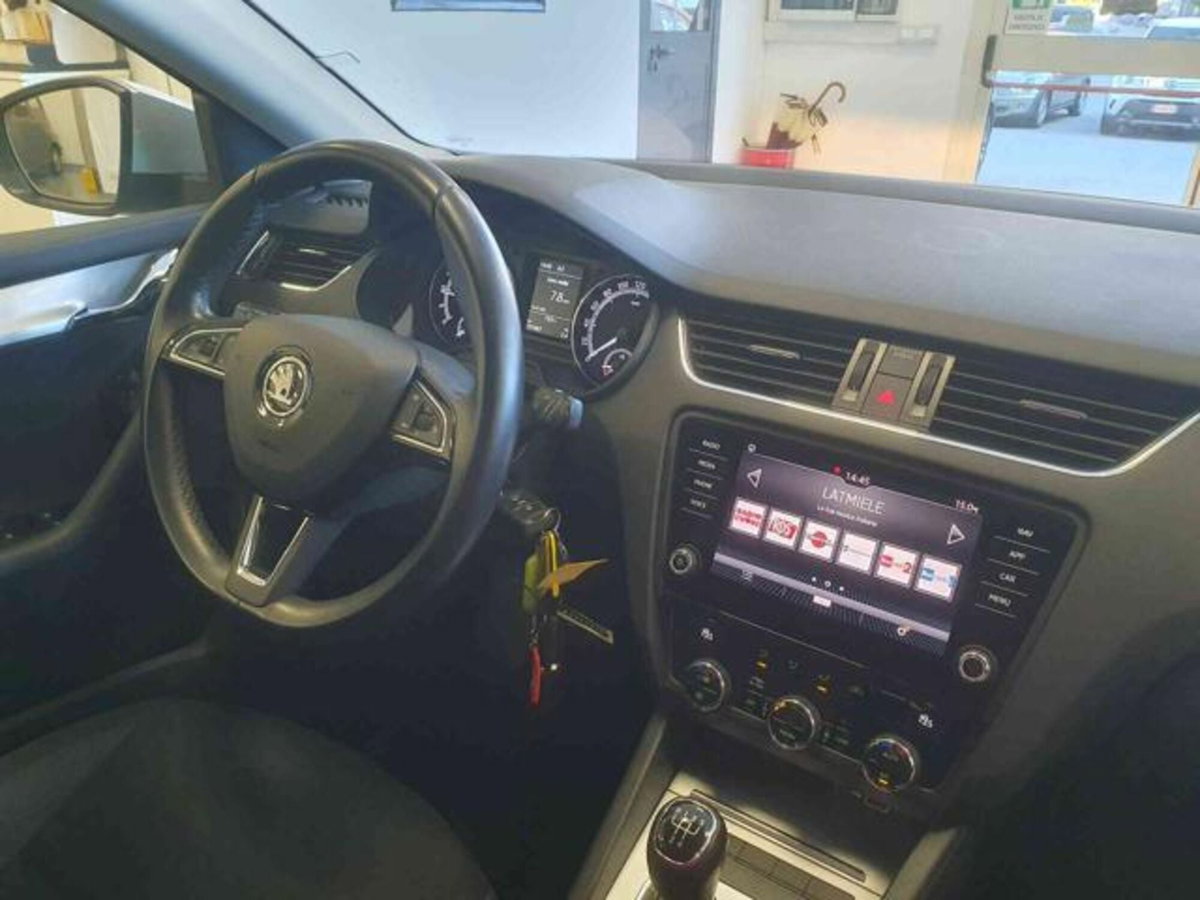 Skoda Octavia Station Wagon 1.6 TDI CR 115 CV Wagon Executive (9)