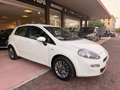 Fiat Punto 1.2 8V 5 porte Easy usata