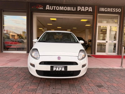 Fiat Punto 1.2 8V 5 porte Easy (3)