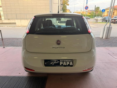 Fiat Punto 1.2 8V 5 porte Easy (6)