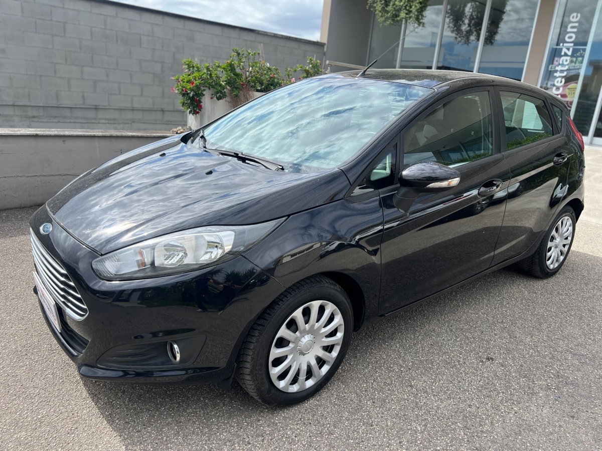 Ford Fiesta 1.5 TDCi 95CV 5 porte Business N1 (3)
