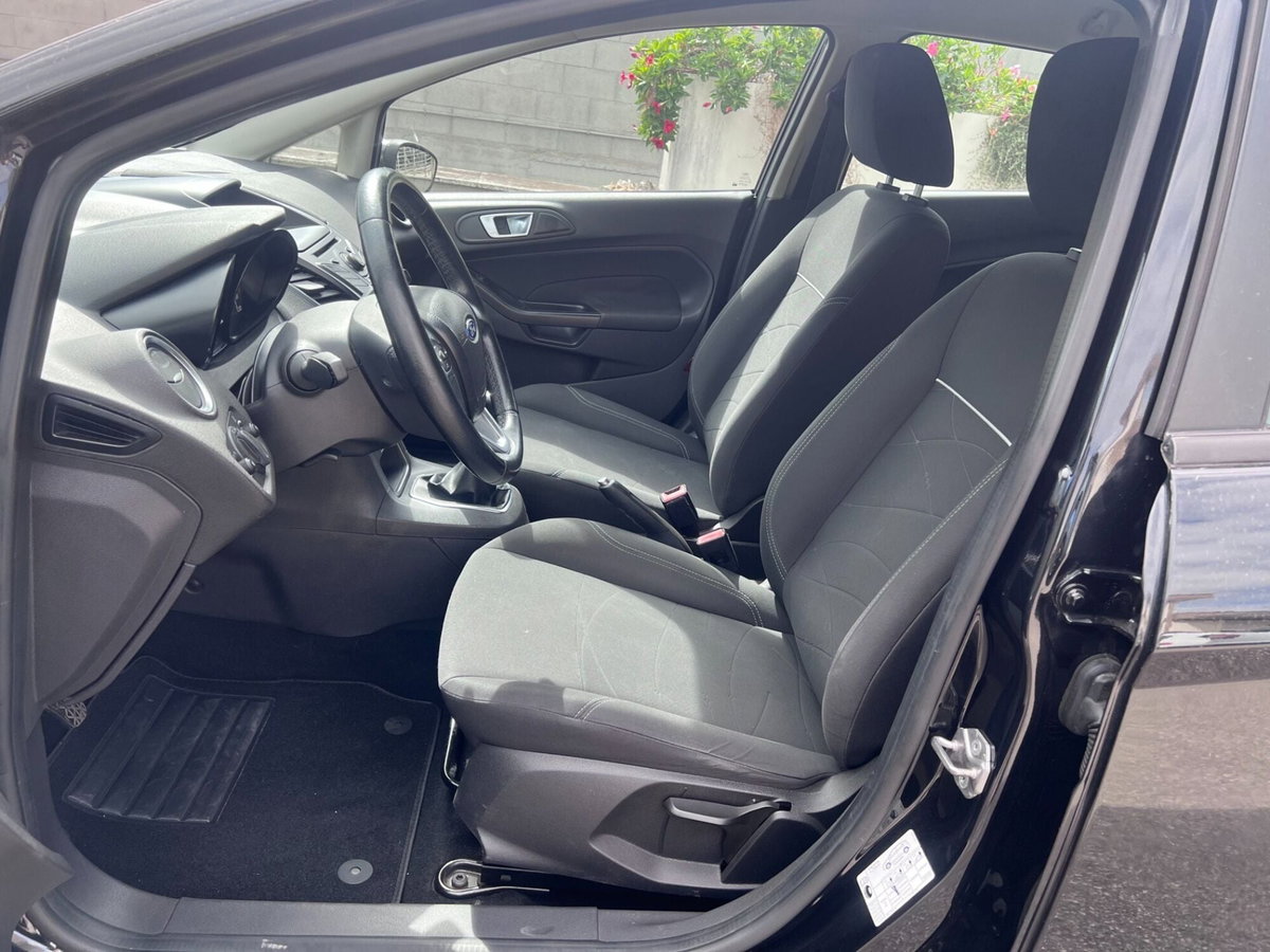 Ford Fiesta 1.5 TDCi 95CV 5 porte Business N1 (8)