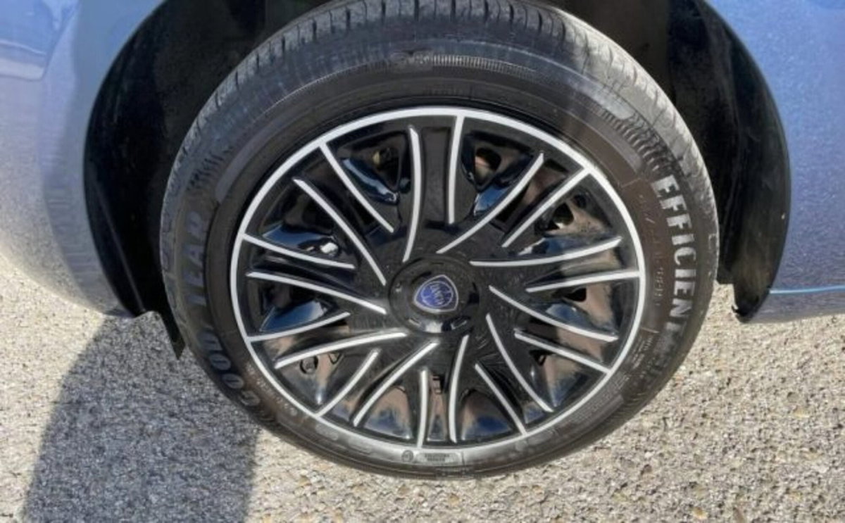 Lancia Ypsilon 1.2 69 CV 5 porte GPL Ecochic Alberta Ferretti (10)