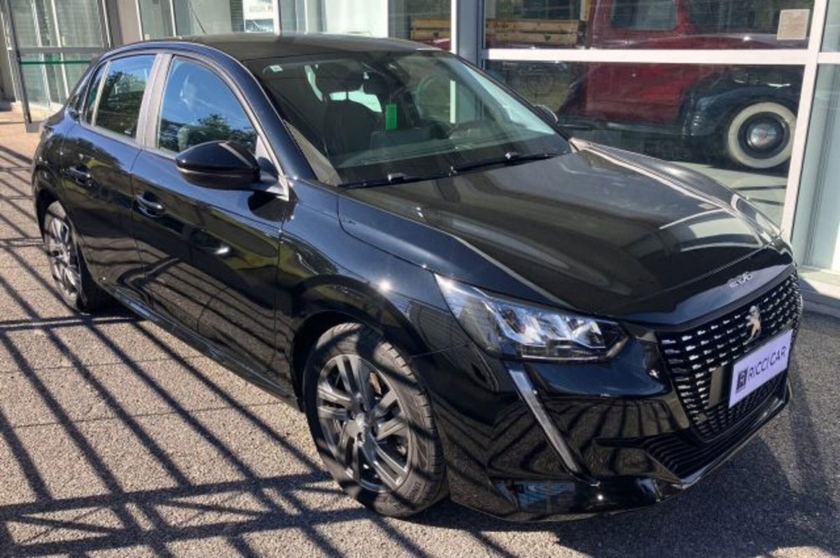 Peugeot 208 BlueHDi 100 Stop&Start 5 porte Active (6)