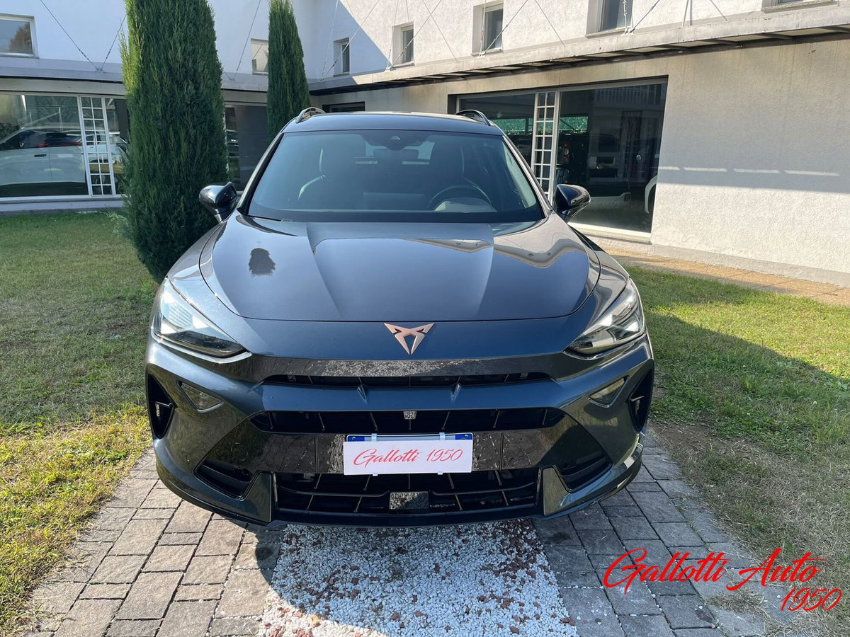 Cupra Formentor Formentor 2.0 tdi 4drive 150cv dsg (5)