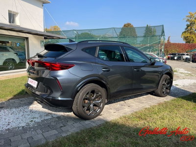 Cupra Formentor Formentor 2.0 tdi 4drive 150cv dsg (7)