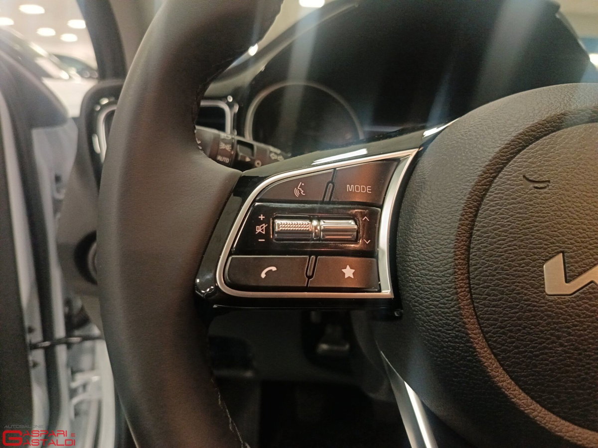 Kia XCeed 1.0 t-gdi Gpl Business (14)