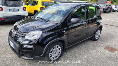 Fiat Panda Cross Cross 1.0 FireFly S&S Hybrid usata