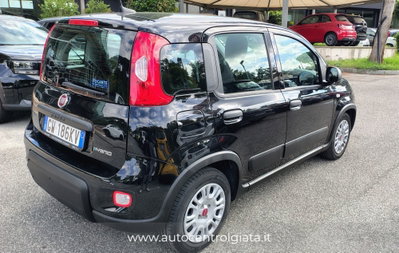Fiat Panda Cross Cross 1.0 FireFly S&S Hybrid (11)