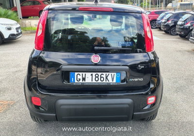 Fiat Panda Cross Cross 1.0 FireFly S&S Hybrid (12)