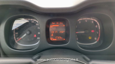 Fiat Panda Cross Cross 1.0 FireFly S&S Hybrid (4)