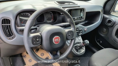 Fiat Panda Cross Cross 1.0 FireFly S&S Hybrid (8)
