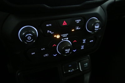 Jeep Renegade 1.6 Mjt 120 CV Limited (18)