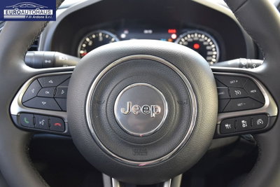 Jeep Renegade 1.6 mjt Limited 2wd 130cv (11)