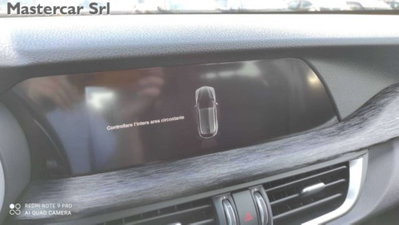 Alfa Romeo Stelvio Stelvio 2.2 Turbodiesel 190 CV AT8 RWD Business (14)