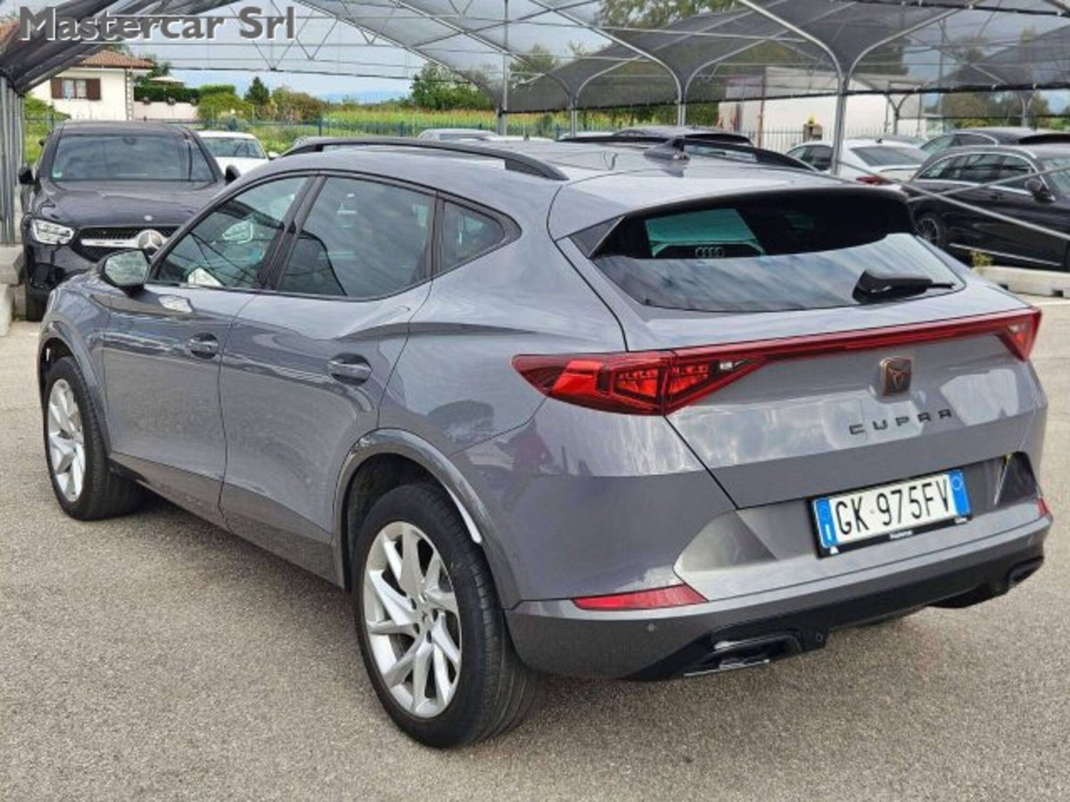 Cupra Formentor Formentor 2.0 TDI (4)