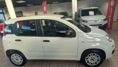 Fiat Panda 1.2 Easy (2)