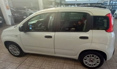 Fiat Panda 1.2 Easy (4)