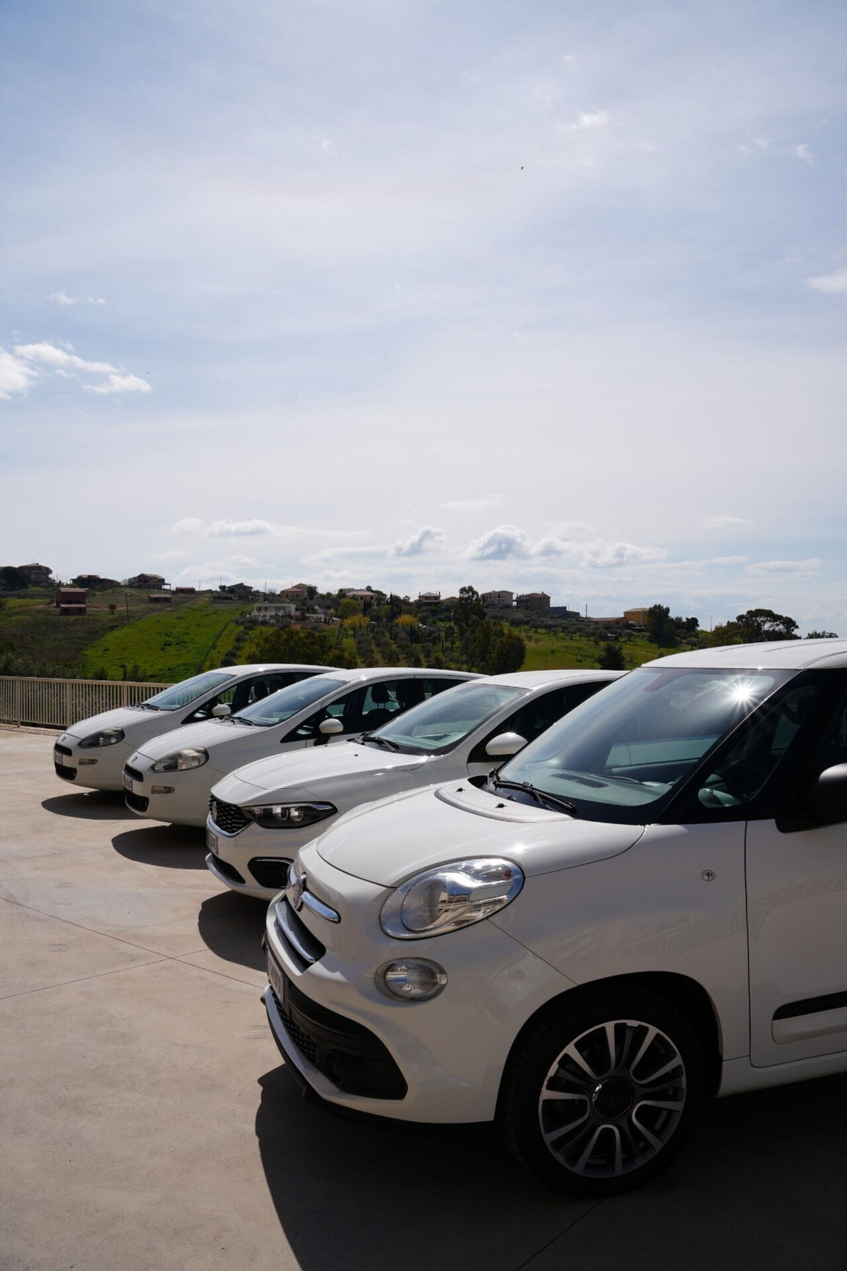 Renault Trafic Furgone BluedCi 150CV EDC PL-TN SpaceClass (5)